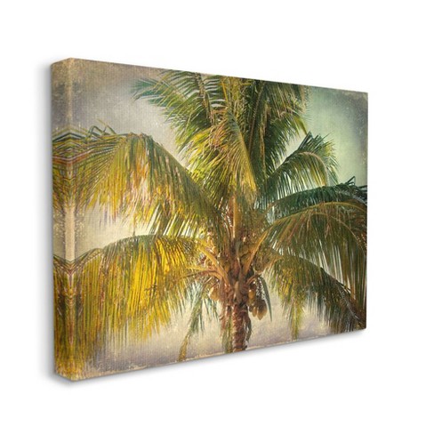 Stupell Industries Distressed Tropical Summer Palm Tree Frond ...