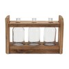 Bottle Vases in Wood Stand 15"L - 2 of 3