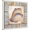 Amanti Art 16"x16" Beach Shell II by Elizabeth Medley: Coastal Decor, Nautical Lithograph, White Frame - 2 of 4