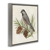 Stupell Industries Bird on Pine Tree, 25" x 25" - 3 of 4