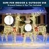 Joyfy 3 Pcs Christmas Yard Lights Outdoor Decoration, Deer Family with LED Lights, Reindeer Christmas Indoor Outdoor Decorations for Yard Garden Lawn - 3 of 4