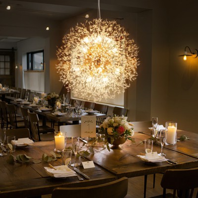 Rennnsan Veldena 23"W 16-Light Sputnik Dandelion Crystal Modern Glam Dimmable Chandelier in Gold