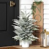 3' Pre-Lit Potted Flocked and Glittered Norfolk Artificial Christmas Tree - Wondershop™ - 2 of 4