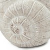 JUJABU 9.5"x8.3"x6" Snail-Shaped Cement Planter with Textured Beige Finish for Indoor or Outdoor Display - 3 of 4