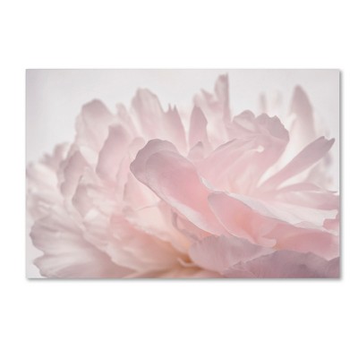 Pink Peony Petals Framed Canvas Art, 22'' x 32''