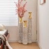 Infurnic Decorative Vases 3PCS Twigs Dried Flowers Antique Worn Vases, High Independent Stand for Living Room, Entryway, White, 20.87"*7.87"*35.87 - 2 of 4