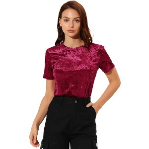INSPIRE CHIC Women's Velvet Crew Neck Short Sleeve Casual Blouse - 1 of 4