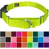 Country Brook Petz Heavy Duty Nylon Martingale Dog Collar with Deluxe Buckle - 30+ Vibrant Color Options - 2 of 4