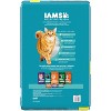 IAMS Proactive Health Weight Control and Hairball Care with Chicken and Turkey Flavor Indoor Dry Cat Food - 16lbs - 2 of 4