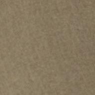 golden taupe