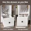 Bella Depot Indoor Hidden Cat Litter Box Furniture with 2 Drawers and Door - 3 of 4
