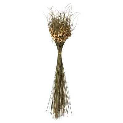 Vickerman 26" Natural Tulip Star, 4 oz, Dried