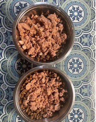 Guest review image 1 of 2, zoom in