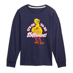 Boys' - Sesame Street - Its Ok To Be Different-Toddler and Youth Long Sleeve T-Shirt Long Sleeve Graphic T-Shirt - 1 of 3