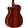 Alvarez Yairi WY1 Cutaway Folk-OM Acoustic-Electric Guitar - 2 of 4