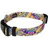 Country Brook Petz Deluxe Dog Collar - Groovy Collection - 2 of 4