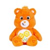 Care Bears Friend Bear 14" Medium Plush - 2 of 4