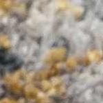 charcoal, tan, paleblue, darkblue, lightgray