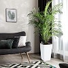 22" Tall Planter Set of 2, Black Indoor/Outdoor Pots with Drainage, Water Level Monitor, Inner Bucket, and Auto Watering, White - 4 of 4