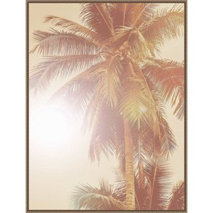 Amanti Art 32"x42" Sunkissed Palm Tree by Urban Road Framed Canvas Wall Art Print - 1 of 4