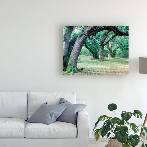 24"x32" Louisiana Oaks by Monte Nagler: Trademark Fine Art, Giclee Canvas Artwork - 1 of 4