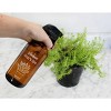 Darware Crazy Plant Lady Spray Bottle Set, 2pc Set; 16oz Amber Glass Spray Bottles Gardening Gift - 4 of 4