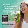 Raw Synergies Superfoods Greens Watermelon - 4 of 4