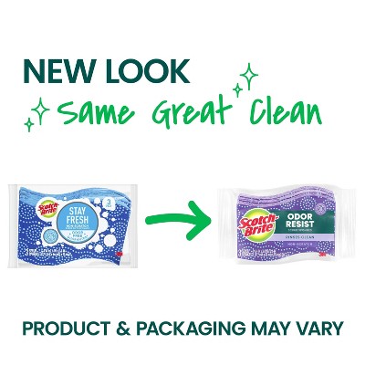 Stay Fresh Blue Non-Scratch Scrub Dots Sponges, 3 Pack