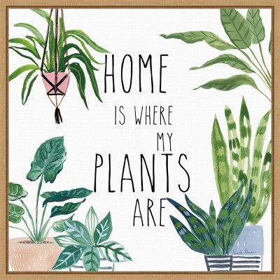 16" x 16" Plant Home II by Farida Zaman Framed Wall Canvas - Amanti Art