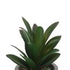 Unique Bargains Artificial Plants Mini Pulp Plastic 3.54"x3.54"x5.12" 1 Pc - 4 of 4