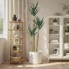 3-Headed Faux Agave Plant in Pot - Artificial Tree for Indoor Outdoor Home & Office Decor, Housewarming Gift - 2 of 4