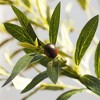 DR.Planzen 4-6FT Single-Trunk Artificial Olive Tree Fake Plants with Realistic Black Olives ¨C Indoor/Outdoor Plant for Home Decor - 3 of 4