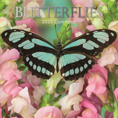 2023 Square Wall Calendar Fruits Basket - Browntrout : Target