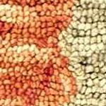 olive, coral, mustard