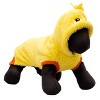 The Worthy Dog Chick Pullover Sweater Hoodie - 3 of 4