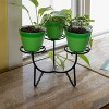 Achla Designs Frida Iron Outdoor Planter Stand Black 11.5"x11.5"x7.75" - 2 of 4