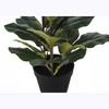 Artificial Plant, 32" Tall, Fiddle Tree, Indoor, Faux, Fake, Floor, Greenery, Potted, Real Touch, Decorative, Green Leaves, Black Pot - 3 of 4