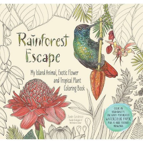 Rainforest Escape : My Island Animal, Exotic Flower and Tropical Plant Coloring Book (Paperback) (Jade - by Jade Gedeon - image 1 of 1