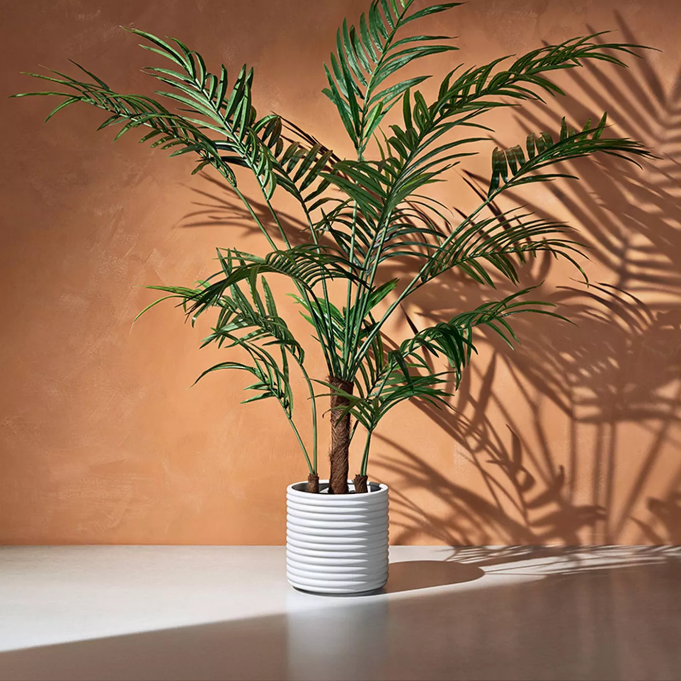 72" Faux Kentia Palm Tree in Ribbed Pot White - Hilton Carter for Target - image 4 of 5