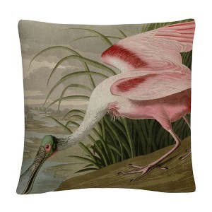 John James Audubon  16 x 16 Decorative Throw Pillow by Trademark Fine Art - 1 of 4