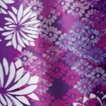 rich violet blooming