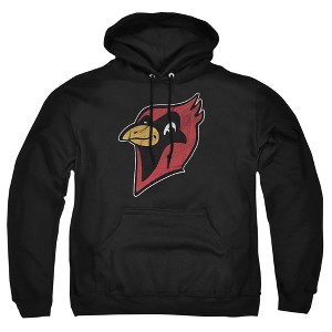 Men's Otterbein University Distressed Primary Pull-Over Hoodie - 1 of 4