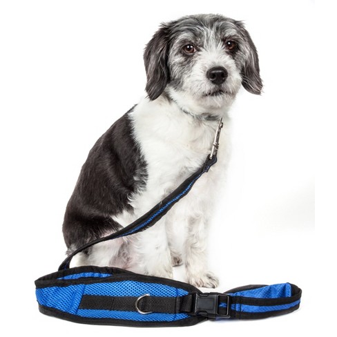 Petlife halti cheap head collar