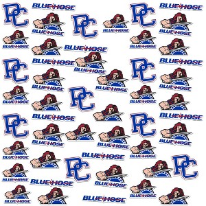 Presbyterian College Spirit Logos 50Ct Sticker Pack Miscellaneous 50 Ct. Sticker Pack - 1 of 4