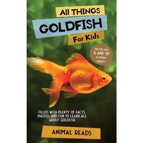 Goldfish 2024 for kids