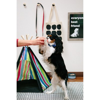 Striped Multicolor Polyester Pet Teepee with Wooden Poles