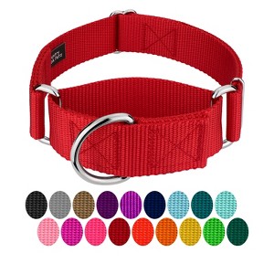Country Brook Petz HossFit Jr Wide Martingale Dog Collar - Training Collar with No Buckle - Vibrant, Colorful Collection - 1 of 4