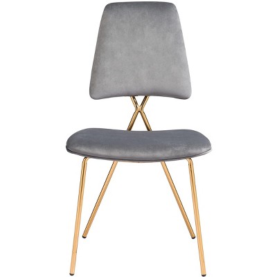 Gray and Gold Velvet Upholstered Side Chair Set with Metal Frame