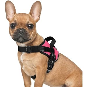 rabbitgoo Dog Harness for Small, Easy On Pet Vest with One Buckle, No Pull Handle, Reflective for Safety Walking, Training, Pink, S - 1 of 1