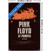Trends International Pink Floyd: Live At Pompeii - Album Unframed Wall Poster Prints - 3 of 4